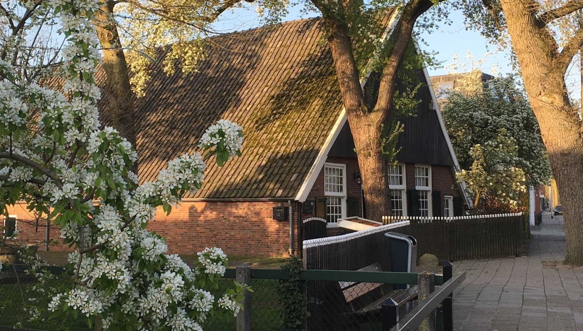Peddemorsboerderij organiseert Kunst & Kids