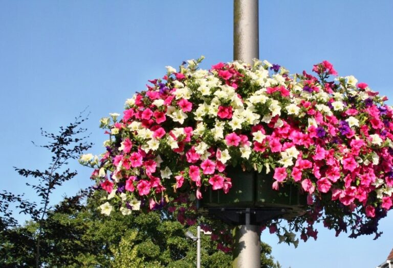 bloempaal
